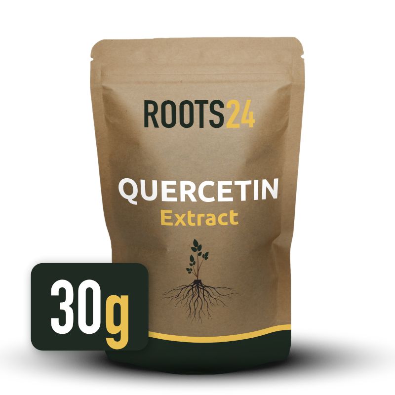 Quercetin (Sophora japonica) 60g Extract - 1